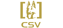 CSVȮ㘷
